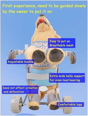 Dog Wheelchair Disabled Mobility Aid Wheelchair, Hind Leg Support Walker, Doggy Stroller Assisted Brace, 2/4 Wheels Pet Recover Activity Support in Saudi Arabia