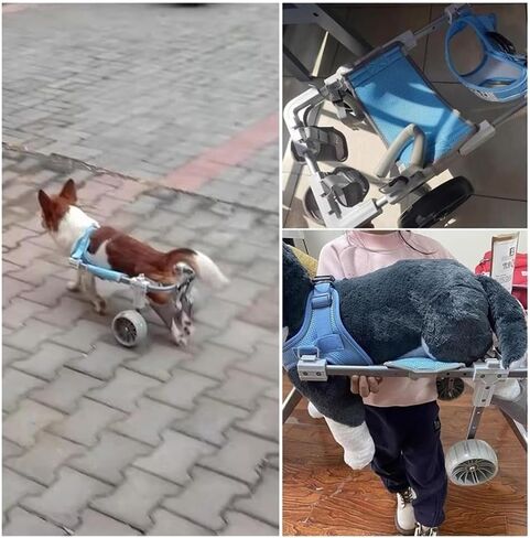 Dog Wheelchair Disabled Mobility Aid Wheelchair, Hind Leg Support Walker, Doggy Stroller Assisted Brace, 2/4 Wheels Pet Recover Activity Support in Saudi Arabia