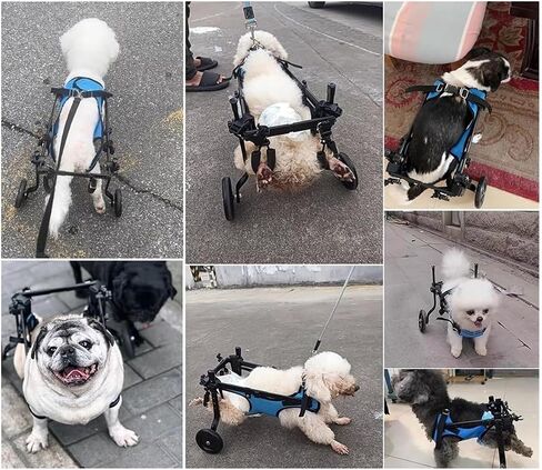 Dog Wheelchair Adjustable Mobility Wheelchairs for Disabled Back Legs, Doggie Assisted Support Wheels, Small Pets Walker Cart, Aluminum Stroller Brace in Saudi Arabia