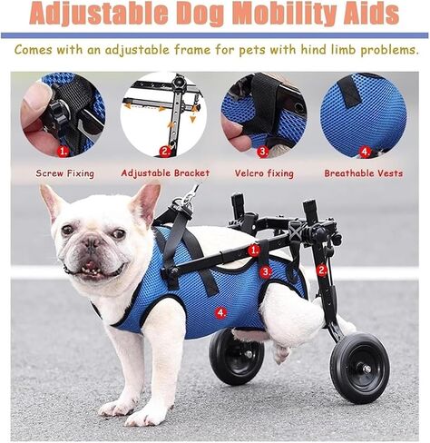 Dog Wheelchair Adjustable Mobility Wheelchairs for Disabled Back Legs, Doggie Assisted Support Wheels, Small Pets Walker Cart, Aluminum Stroller Brace in Saudi Arabia