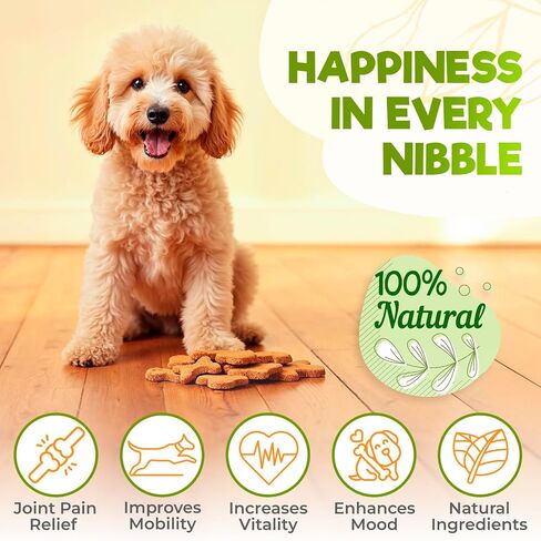 ZENO Glucosamine HCL & Hip and Joint Chews for Dogs - 150 pcs - Advanced Hip and Joint Support for Dogs - with MSM & Green Lipped Mussel - Chicken in Saudi Arabia