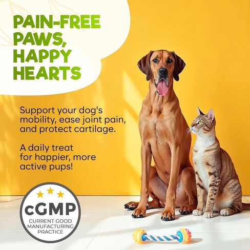 ZENO Glucosamine HCL & Hip and Joint Chews for Dogs - 150 pcs - Advanced Hip and Joint Support for Dogs - with MSM & Green Lipped Mussel - Chicken in Saudi Arabia