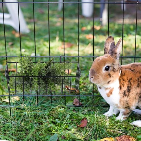6 Pcs Rabbit Hay Feeder,Bunny Hay Feeder Rack with Metal Frame for Guinea Pig Chinchilla,Large Heavy-Duty Hays Holder Feeders for Rabbits Guinea Pigs, Small Animal Cage Accessories in Saudi Arabia