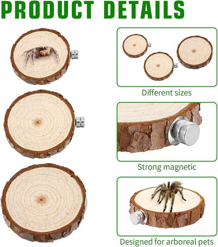 3pack Jumping Spider Enclosure Ledgess, Round Jumping Spider Enclosure Ledgess Ladder Jumpinng Spiders Accessories Habitat Decor for Small Light Critters in Saudi Arabia
