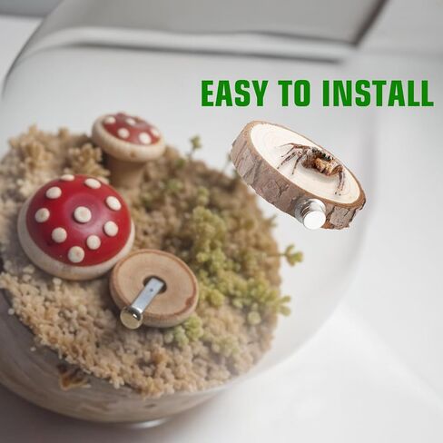 3pack Jumping Spider Enclosure Ledgess, Round Jumping Spider Enclosure Ledgess Ladder Jumpinng Spiders Accessories Habitat Decor for Small Light Critters in Saudi Arabia