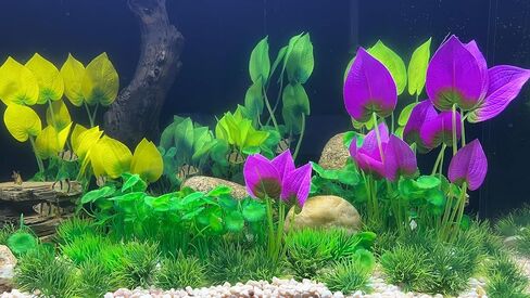 BEGONDIS Artificial Aquarium Plants, 15-Piece Plastic Decorative Set, Lifelike Underwater Garden (Green) in Kuwait