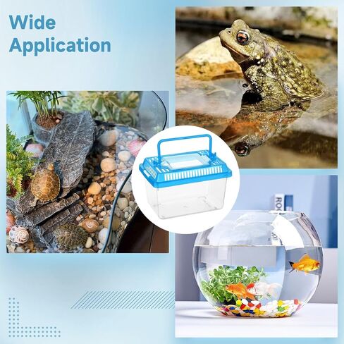 30 PCS Plastic Reptile Terrarium Carrier Cage, Portable Transparent Aquarium Box with Slotted Ventilation Holes for Turtle, Snake, Spider, Breeding, Hatching, Fish, 5 Colors Lid, 5 x 3.4 x 3.4 in in Saudi Arabia