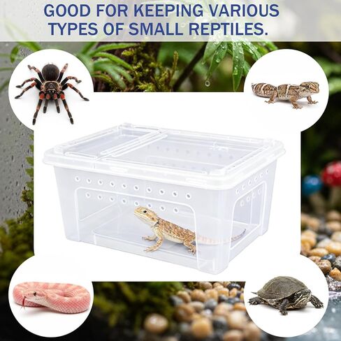 10 Pcs Jumping Spider Enclosure Kit, Acrylic Reptile Breeding Box Cage, Digital Thermometer Hygrometer Temperature, Coco Coir Mats Hides, Water Food Feeder Bowl Dish Indoor Habitat | by Cotkkstt in Saudi Arabia
