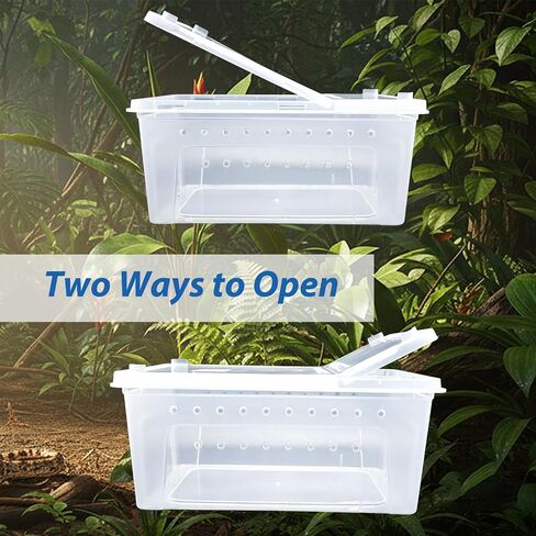 10 Pcs Jumping Spider Enclosure Kit, Acrylic Reptile Breeding Box Cage, Digital Thermometer Hygrometer Temperature, Coco Coir Mats Hides, Water Food Feeder Bowl Dish Indoor Habitat | by Cotkkstt in Saudi Arabia