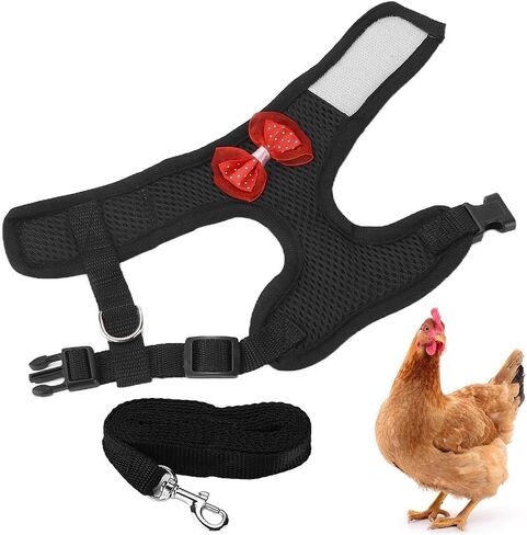 Adjustable Chicken Harness and Leash Comfortable Breathable Hen Pet Vest for Hen RoostersM Black in Saudi Arabia