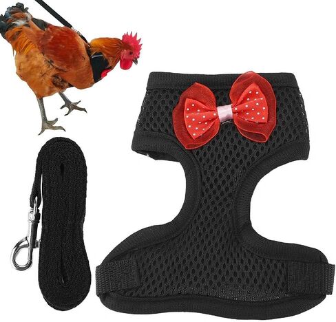Adjustable Chicken Harness and Leash Comfortable Breathable Hen Pet Vest for Hen RoostersM Black in Saudi Arabia