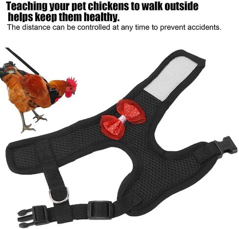 Adjustable Chicken Harness and Leash Comfortable Breathable Hen Pet Vest for Hen RoostersM Black in Saudi Arabia