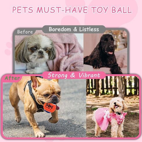 Squeaky Balls for Dogs, Squeaky Dog Toys Balls for Fetch, Funny Puppy Chew Toys, Built-in Squeaker, Idea for Doggie Birthday Gift, Medium - 4 Pack in Kuwait