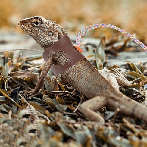 GALPADA Adjustable Lizard Leash Lightweight Breathable Strap for Small Reptiles Like Bearded Dragons and Geckos Outdoor Traction Belt Portable Crawl Pet Harness in Saudi Arabia