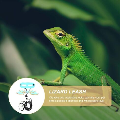GANAZONO 5Pcs Adjustable Lizard Harness and Leash with Wings for Bearded Dragon Gecko Small Reptiles Comfortable Pet Accessory for Outdoor Walking in Saudi Arabia