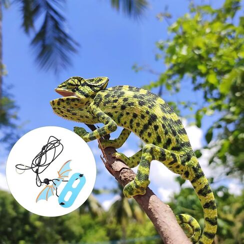 GANAZONO 5Pcs Adjustable Lizard Harness and Leash with Wings for Bearded Dragon Gecko Small Reptiles Comfortable Pet Accessory for Outdoor Walking in Saudi Arabia