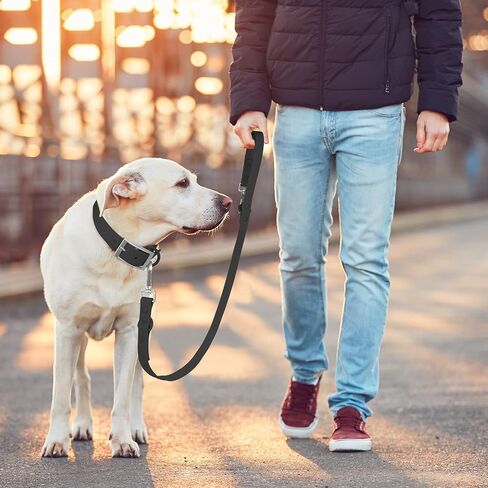 مقود الكلاب المقاوم للماء من Wisedog - 5 أقدام/6 أقدام قابل للتعديل مع خطافين دوارين معدنيين، مقاود الكلاب سهلة التنظيف للكلاب الصغيرة والمتوسطة والكبيرة (أسود M) in Kuwait
