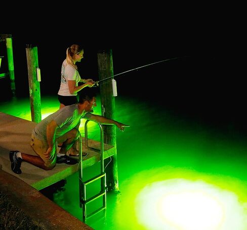 Underwater Fish Light Extra Bright Vibrant Green 250W Single Light for Docks with 50’ of Marine Grade Wire, Easy to Install, Dusk to Dawn Operation, Salt or Fresh Water, Guaranteed to Attract Fish in Saudi Arabia