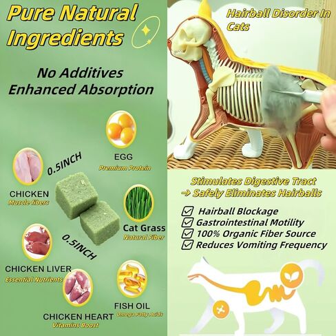 60 جرام/2.12 أوقية القطط العشب يعامل لعبة القط لتنظيف الأسنان، لعق النعناع البري مضغ وجبة خفيفة للداخلية زيت السمك بنكهة كيتي تجميد الطعام المجفف هريرة العشب التسنين عصا إزالة الشعر علاج الكلب in Kuwait