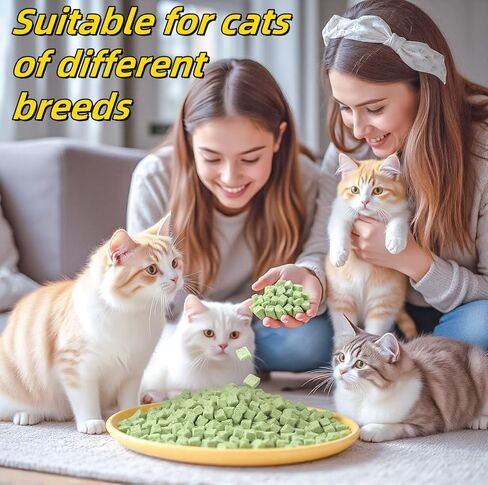 60 جرام/2.12 أوقية القطط العشب يعامل لعبة القط لتنظيف الأسنان، لعق النعناع البري مضغ وجبة خفيفة للداخلية زيت السمك بنكهة كيتي تجميد الطعام المجفف هريرة العشب التسنين عصا إزالة الشعر علاج الكلب in Kuwait