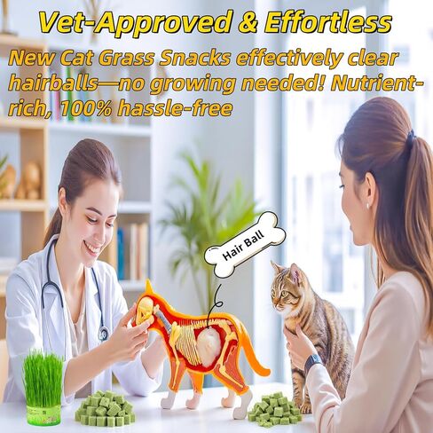 60 جرام/2.12 أوقية القطط العشب يعامل لعبة القط لتنظيف الأسنان، لعق النعناع البري مضغ وجبة خفيفة للداخلية زيت السمك بنكهة كيتي تجميد الطعام المجفف هريرة العشب التسنين عصا إزالة الشعر علاج الكلب in Kuwait