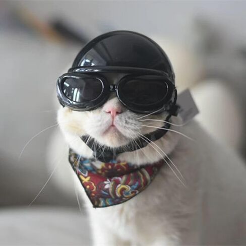 Pet Travel Cool Protective Helmet - Stylish Motorcycle Helmet for Cats and Dogs, Universal Fit for a Trendy Look 120 in Saudi Arabia