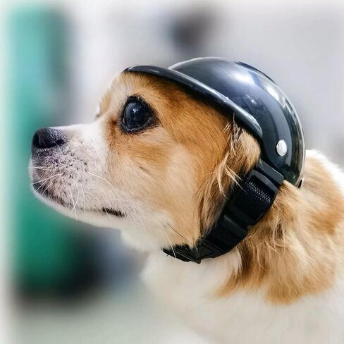 Pet Travel Cool Protective Helmet - Stylish Motorcycle Helmet for Cats and Dogs, Universal Fit for a Trendy Look 120 in Saudi Arabia