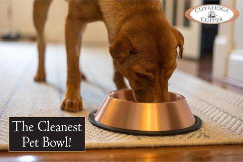 وعاء الحيوانات الأليفة من النحاس النقي من Cuyahoga Copper - طبق ممتاز لطعام ومياه الكلاب والقطط - تصميم متين وسهل التنظيف وأنيق - مثالي للحيوانات الأليفة الصحية! in Kuwait