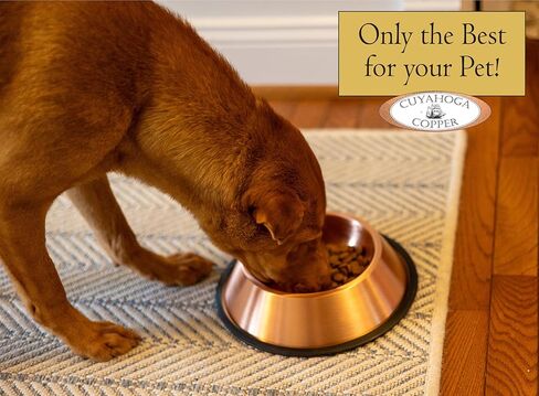 وعاء الحيوانات الأليفة من النحاس النقي من Cuyahoga Copper - طبق ممتاز لطعام ومياه الكلاب والقطط - تصميم متين وسهل التنظيف وأنيق - مثالي للحيوانات الأليفة الصحية! in Kuwait