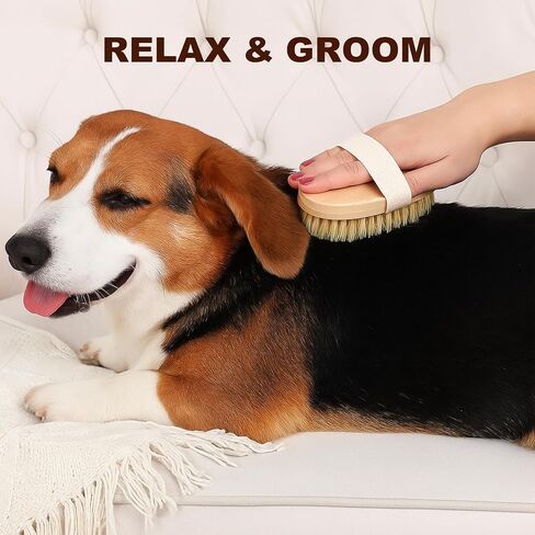 Dog Cat Brush for Short Hair Pet, TWPER Soft Boar Bristle Pet Palm Grooming Brush Gentle Hair Removal Massage in Saudi Arabia