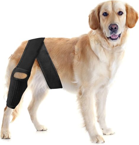 Dog Knee Brace for Torn ACL — Elastic Support, Adjustable Compression Stabilizer, Breathable Neoprene, 4-Leg Universal Fit (Front/Rear, Left/Right) for Post-Surgery Recovery (M) in Saudi Arabia