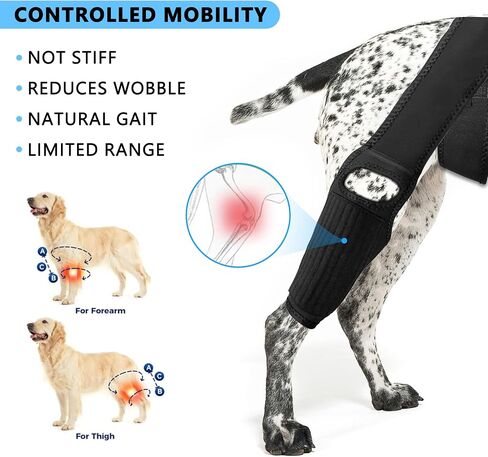 Dog Knee Brace for Torn ACL — Elastic Support, Adjustable Compression Stabilizer, Breathable Neoprene, 4-Leg Universal Fit (Front/Rear, Left/Right) for Post-Surgery Recovery (M) in Saudi Arabia