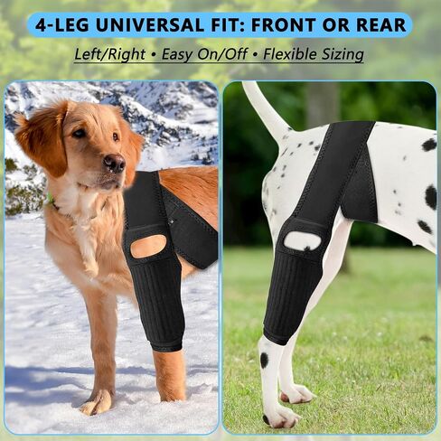 Dog Knee Brace for Torn ACL — Elastic Support, Adjustable Compression Stabilizer, Breathable Neoprene, 4-Leg Universal Fit (Front/Rear, Left/Right) for Post-Surgery Recovery (M) in Saudi Arabia