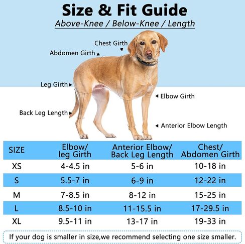 Dog Knee Brace for Torn ACL — Elastic Support, Adjustable Compression Stabilizer, Breathable Neoprene, 4-Leg Universal Fit (Front/Rear, Left/Right) for Post-Surgery Recovery (M) in Saudi Arabia