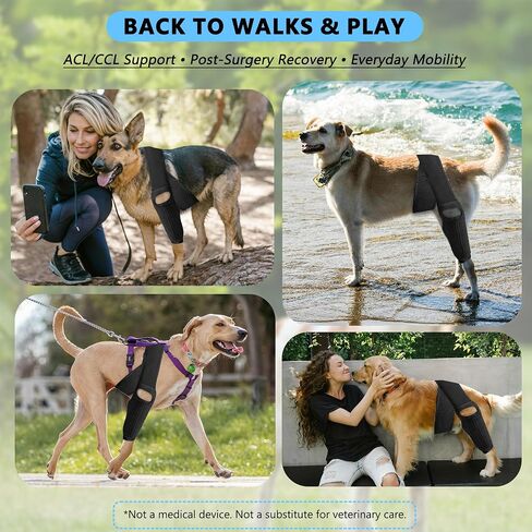 Dog Knee Brace for Torn ACL — Elastic Support, Adjustable Compression Stabilizer, Breathable Neoprene, 4-Leg Universal Fit (Front/Rear, Left/Right) for Post-Surgery Recovery (M) in Saudi Arabia
