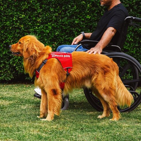 سترة Tuff Pupper Service للكلاب مع جيب لبطاقة الهوية | لا يوجد مرفق المقود | أبازيم مغناطيسية سريعة الإصدار | تقليم عاكس | مقاس قابل للتعديل | مريح ومتين | مصممة للكلاب الصغيرة (الأحمر، المتوسط) in Kuwait