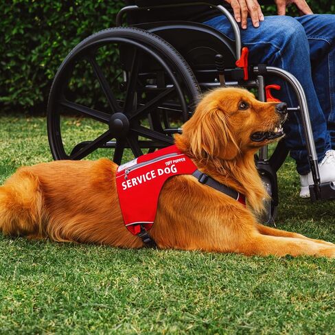 سترة Tuff Pupper Service للكلاب مع جيب لبطاقة الهوية | لا يوجد مرفق المقود | أبازيم مغناطيسية سريعة الإصدار | تقليم عاكس | مقاس قابل للتعديل | مريح ومتين | مصممة للكلاب الصغيرة (الأحمر، المتوسط) in Kuwait
