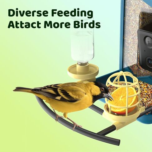 Replacement Perch with Suet Ball Feeder and Water Feeder, Accessory for BL01 and BL02 Bird Feeder with Camera in Saudi Arabia