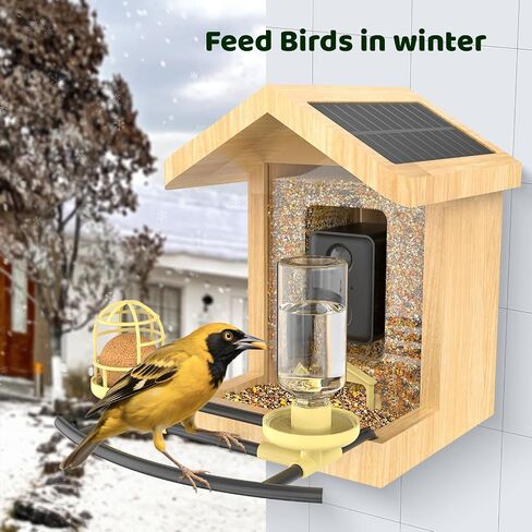 Replacement Perch with Suet Ball Feeder and Water Feeder, Accessory for BL01 and BL02 Bird Feeder with Camera in Saudi Arabia