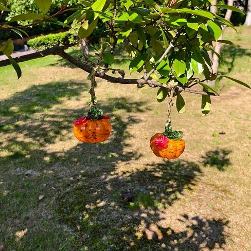 Small Glass Hummingbird Feeders for Outdoors Hanging + Rain Cover - Hand Blown Glass Pumpkin Nectar Feeding, 2 Flowers Feeding Ports, Decor for Garden/Backyard Outside, Multi Color in Kuwait