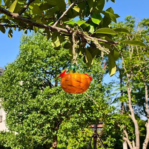 Small Glass Hummingbird Feeders for Outdoors Hanging + Rain Cover - Hand Blown Glass Pumpkin Nectar Feeding, 2 Flowers Feeding Ports, Decor for Garden/Backyard Outside, Multi Color in Kuwait