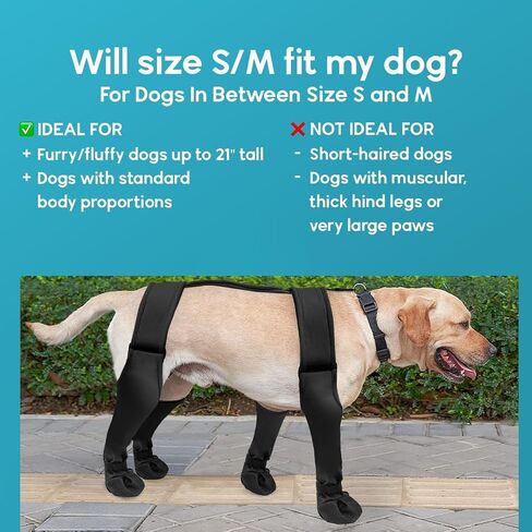 PetPhindU Dog Suspender Boots Tall Dog Boots Anti-Slip Fall Waterproof Dog Shoes Leggings Adjustable Suspender Boots Dogs Winter Snow Rain Hiking Paws Protector Dog Rain Shoes (L,Black) in Saudi Arabia