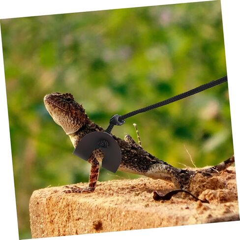 DOITOOL Adjustable Lizard Harness Leash for Bearded Dragon and Gecko Outdoor Reptile Leash with Comfortable Fit Easy Off Suitable for Small Pets Like Turtles and Lizards in Kuwait
