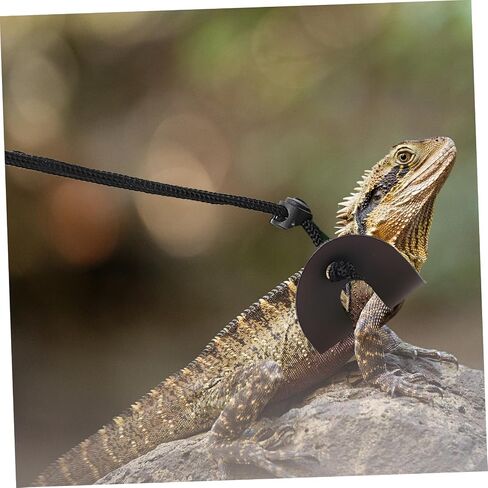 DOITOOL Adjustable Lizard Harness Leash for Bearded Dragon and Gecko Outdoor Reptile Leash with Comfortable Fit Easy Off Suitable for Small Pets Like Turtles and Lizards in Kuwait