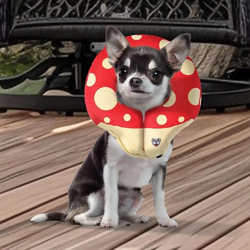 BigMouth Inc Mushroom Inflatable Dog Recovery Collar, Comfortable Cone Replacement for Pet Surgery, Protective Collars to Prevent Licking & Biting, Size Large in Saudi Arabia