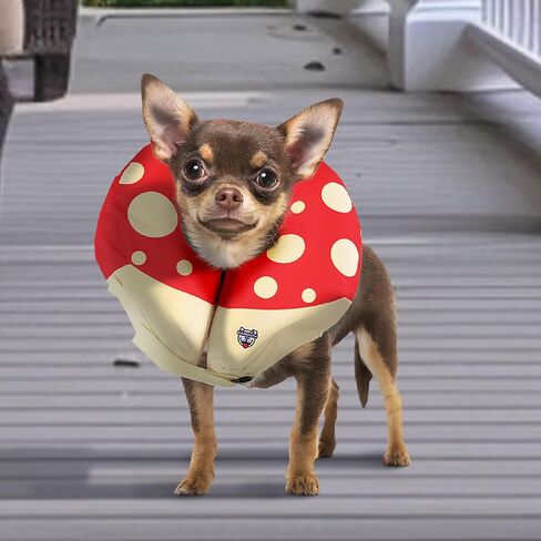 BigMouth Inc Mushroom Inflatable Dog Recovery Collar, Comfortable Cone Replacement for Pet Surgery, Protective Collars to Prevent Licking & Biting, Size Large in Saudi Arabia