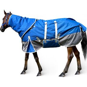 الشتاء الحصان بطانية الحصان الإقبال بطانية مقاوم للماء 1200D 260 جرام شغل متوسطة الوزن بطانية الحصان مع غطاء الرقبة للانفصال in Kuwait