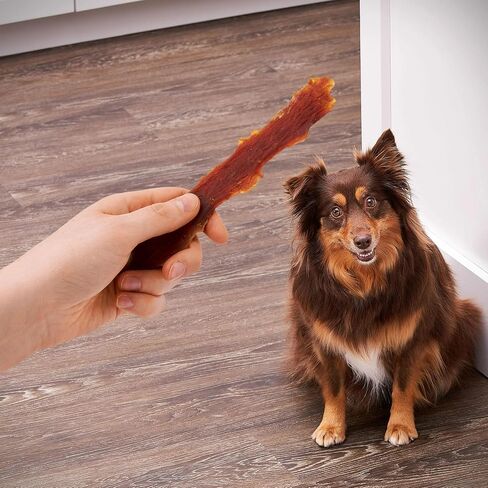 Golden|Rewards Duck Jerky Dog Treats, 16 oz Bag, Real Duck Breast, Only 3 Ingredients, Low Fat, Grain-Free, No by-Products, No Corn Wheat or Soy, Natural High Protein Chews for All Dog Sizes in Saudi Arabia