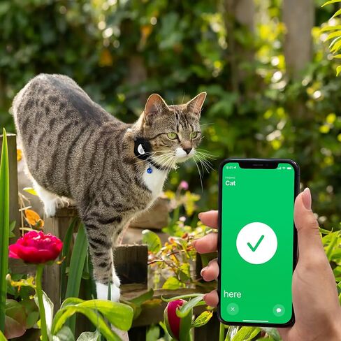 طوق القطط من نوع Airtag مع جرس قابل للإزالة - طوق جلدي للحيوانات الأليفة مع حامل علامة Apple Air - أطواق GPS قابلة للتعديل للفتيات والقطط والقطط والجرو - خفيف الوزن ولطيف ومريح (أسود) in Kuwait
