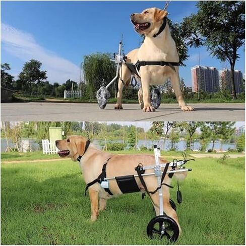 Large Pet Dog Wheelchair for German Shepherd, M/XL/XXL/XXXL Adjustable Mobility Rehabilitation Wheels, Disabled Hind Legs Walking for 15 to 60kg Dog in Saudi Arabia